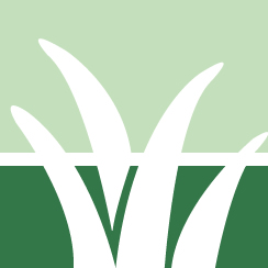 Yard Maintenance Service