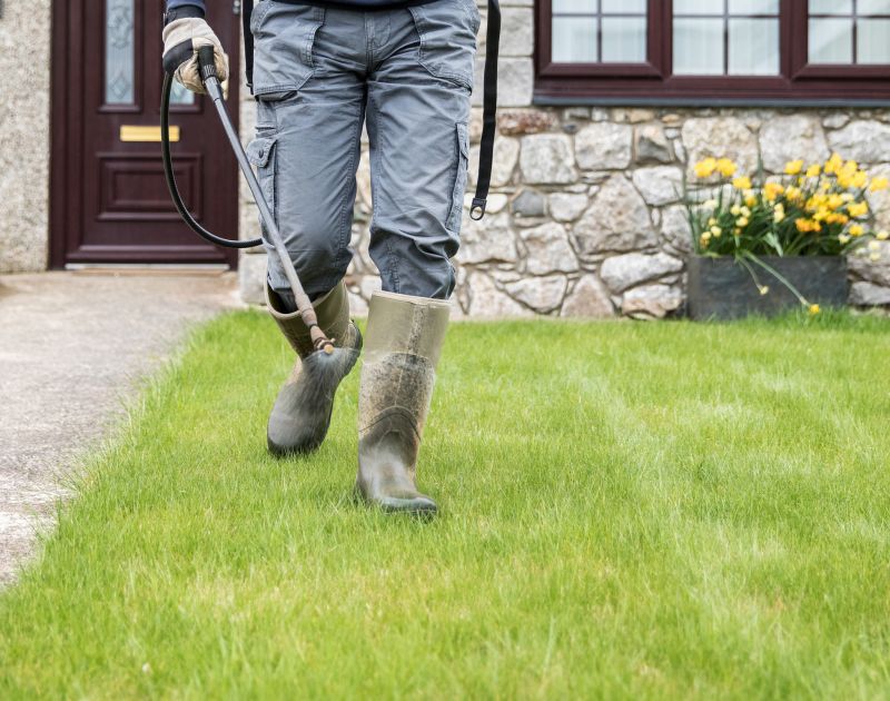 Yard Maintenance Service