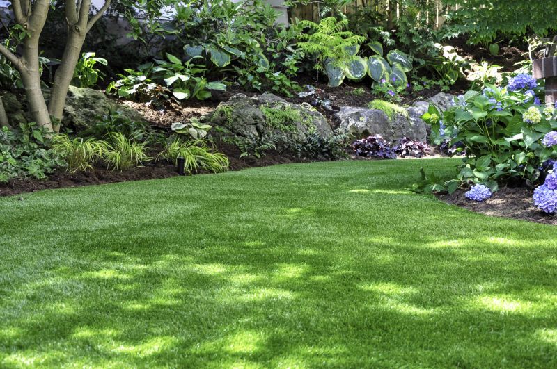 Yard Maintenance Service