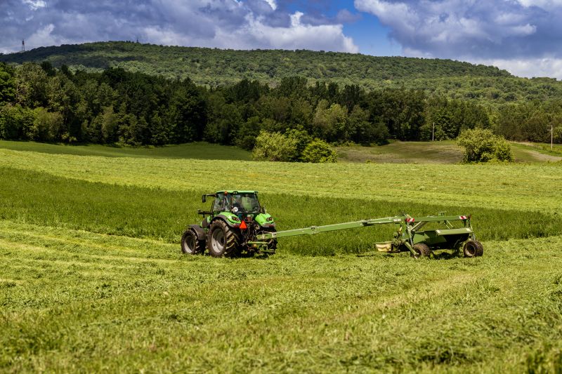 Bush Hog Mowing in Duluth, MN