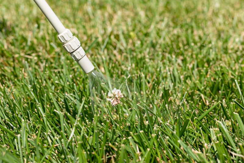 Crabgrass Prevention in Honolulu, HI