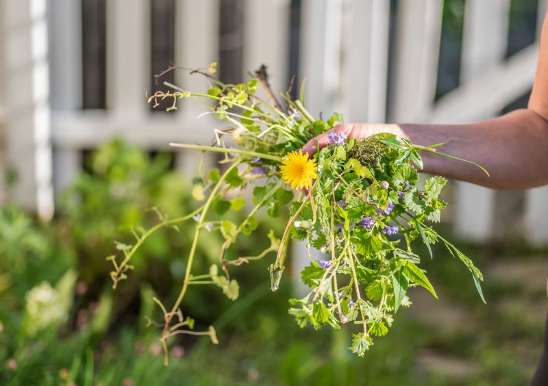 Garden Deweeding in Rockwall, TX