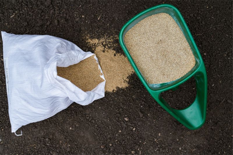 Lawn Seeding in Honolulu, HI