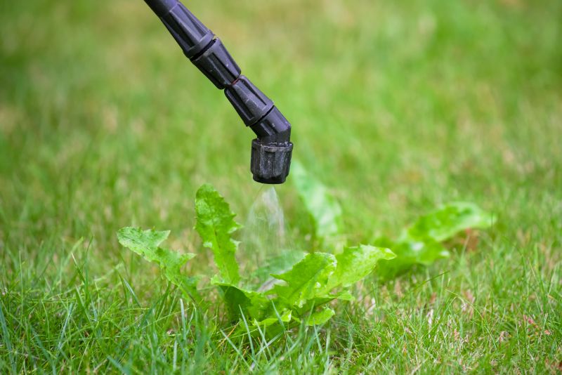 Lawn Weed Spraying in Ventura County, CA