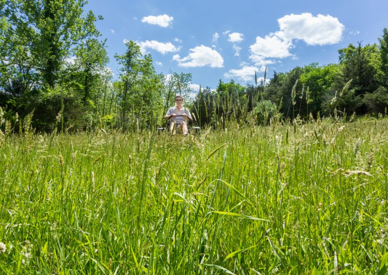 Leaves Mowing in Bowie, MD