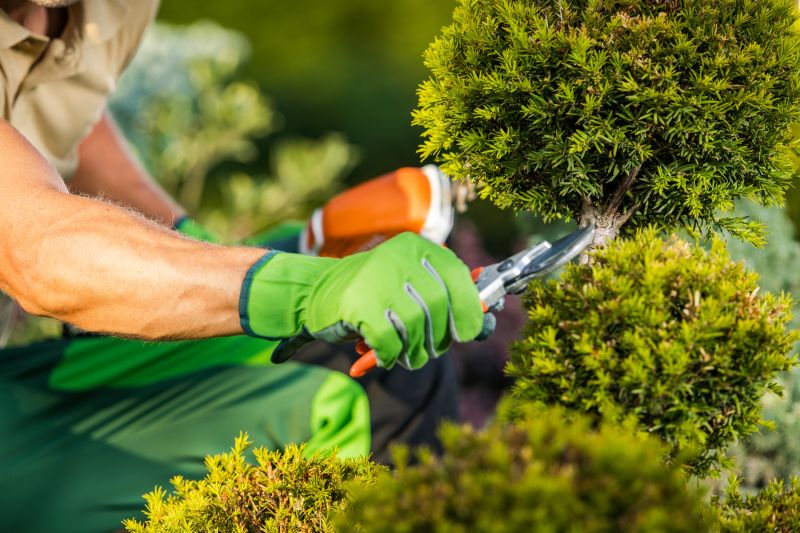 Tree and Shrub Services