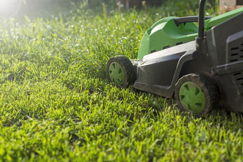 Yard Maintenance Cost Guide — Cost of Yard Maintenance Service