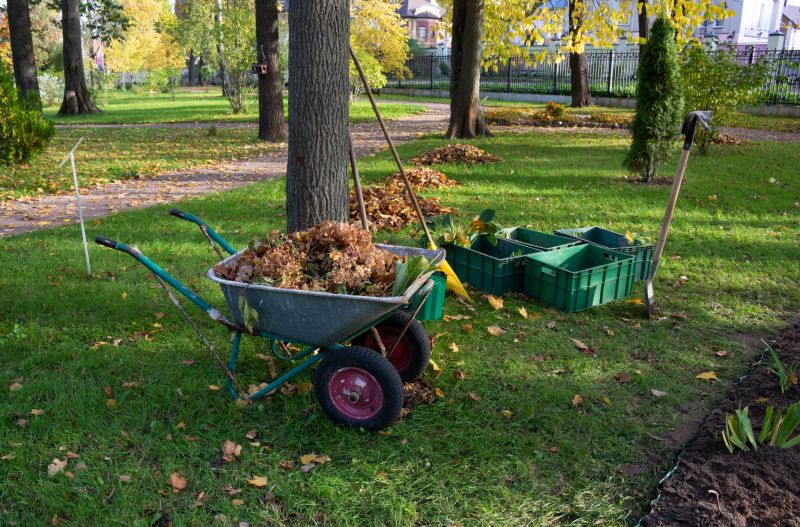 Mulching and Soil Care